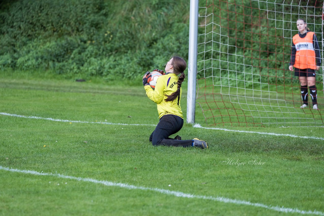 Bild 195 - F SG Daenisch Muessen - SG Blau-Rot Holstein : Ergebnis: 3:1